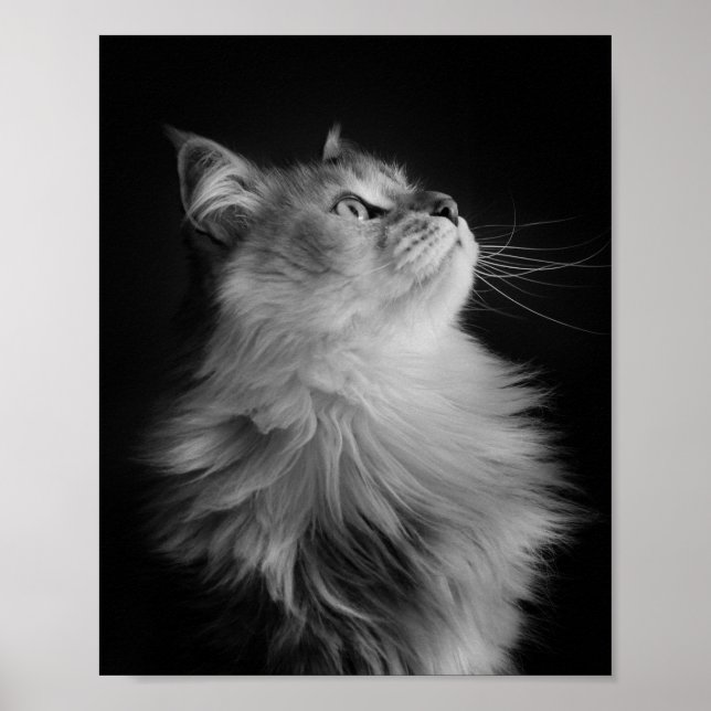 Proud Poster (Framsidan)