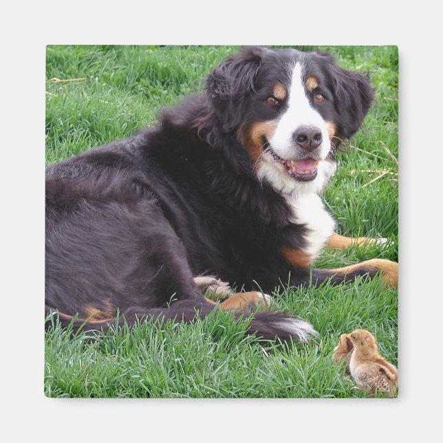 Proud Serena Magnet (Framsidan)