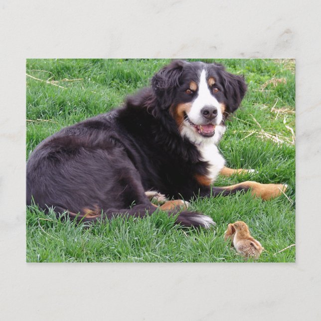 Proud Serena Vykort (Framsida)