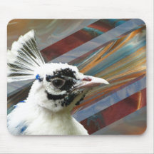 Proud som Peacock Mousepad
