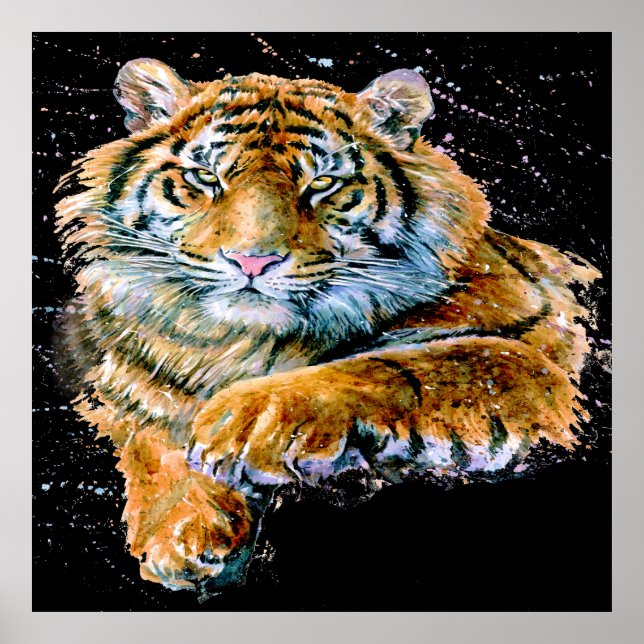 PROUD TIGER-Poster Poster (Framsidan)