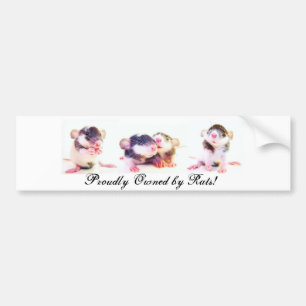 Proudly ägt av råttor! bildekal