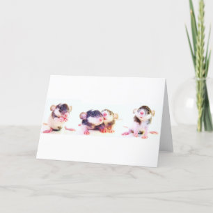 Proudly ägt av råttor! kort