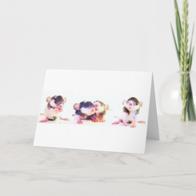 Proudly ägt av råttor! kort (Framsida)