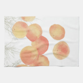 Pröva aprikoser på vintern kökshandduk