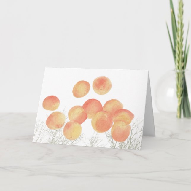 Pröva aprikoser på vintern kort (Framsida)