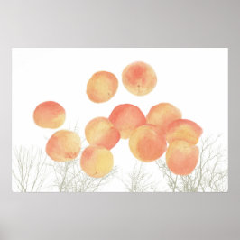 Pröva aprikoser på vintern poster