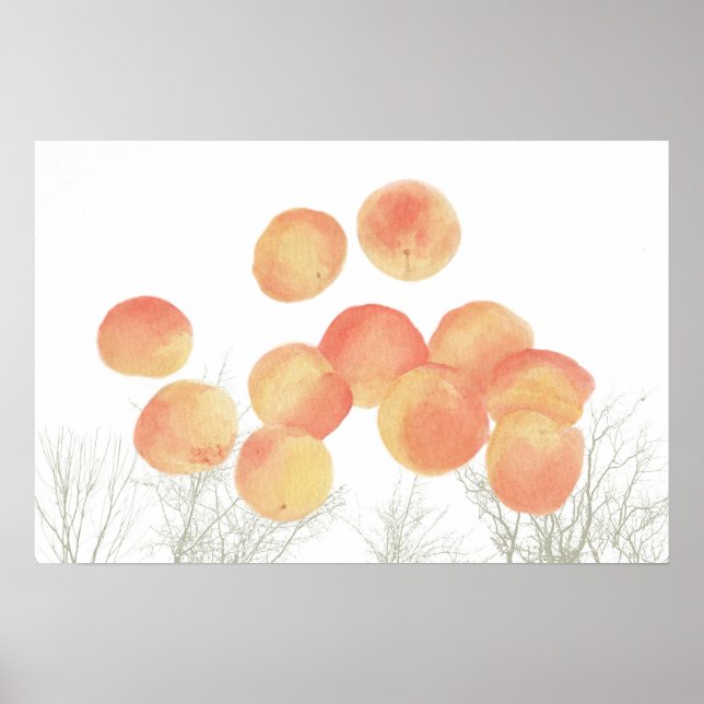 Pröva aprikoser på vintern poster (Framsidan)