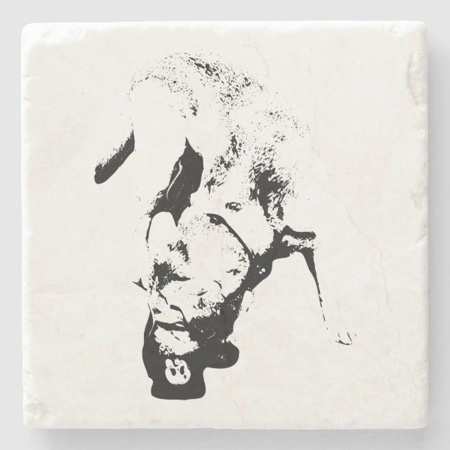 Pröva priset - Lab Sketch Stenunderlägg (Framsidan)