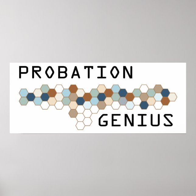 Provation Genius Poster (Framsidan)