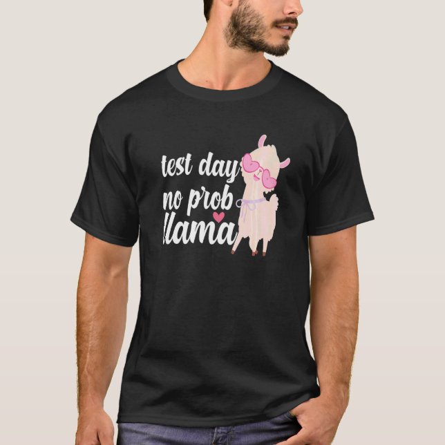Provdag: Prob Llama Women Lacher State Testin T Shirt (Framsida)