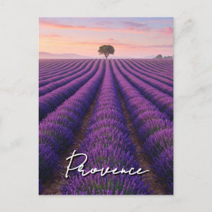 Provence Frankrike Lavender Fält Vykort