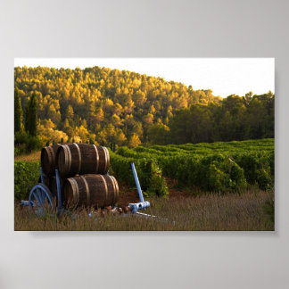 Provence, Frankrike Poster