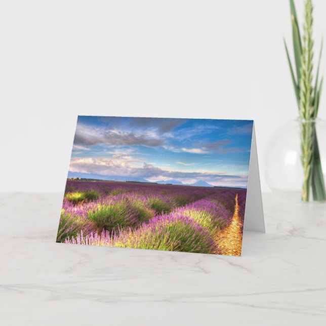 Provence - lavendel sätter in hälsningkortet kort (Framsida)