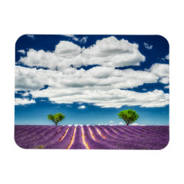 Provence Magnet
