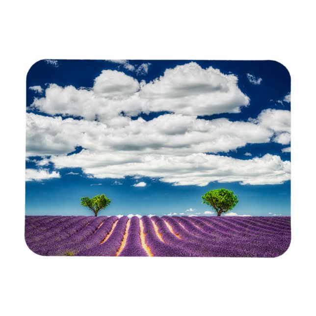 Provence Magnet (Horisontell)