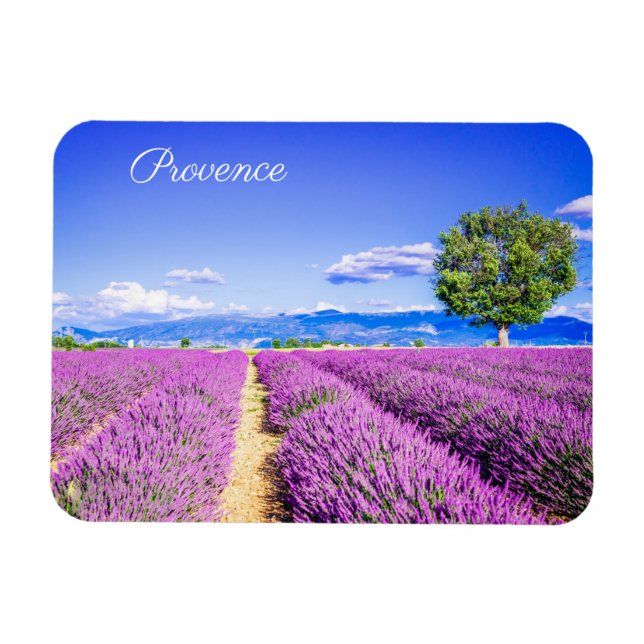 Provence Magnet (Horisontell)