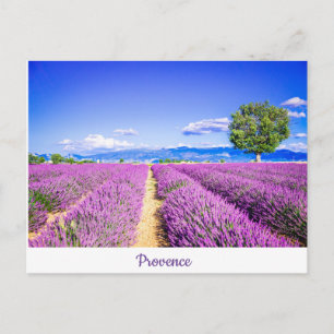 Provence Vykort
