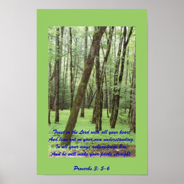 Proverb 3: 5-6 poster med vacker grönt träd (Framsidan)