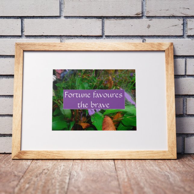 Proverb-förmögenhet gynnar den modiga poster (Skapare uppladdad)