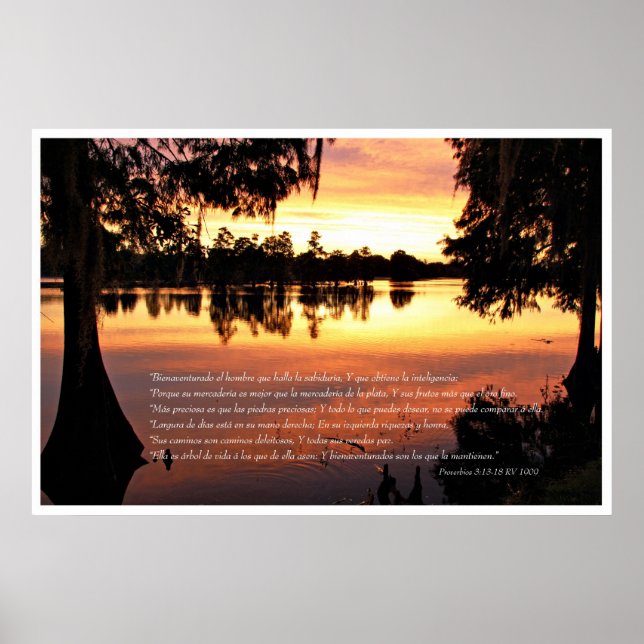 Proverbios 3: 13-18 con Arboles Poster (Framsidan)