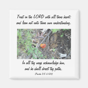 Proverbs3:5 - 6 magnet