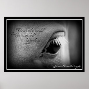 Proverbs 11:17 poster