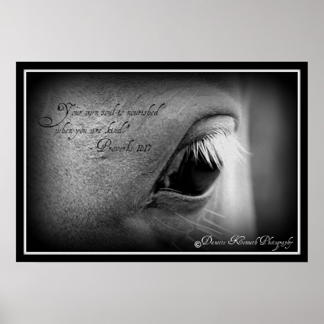Proverbs 11:17 poster (Framsidan)