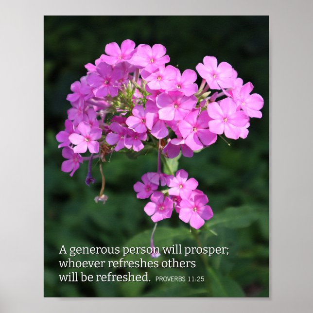 Proverbs 11:25 Pink Phlox Christian Poster (Framsidan)