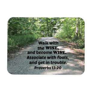 Proverbs 13:20 Gå med det kloka och bli klok. Magnet