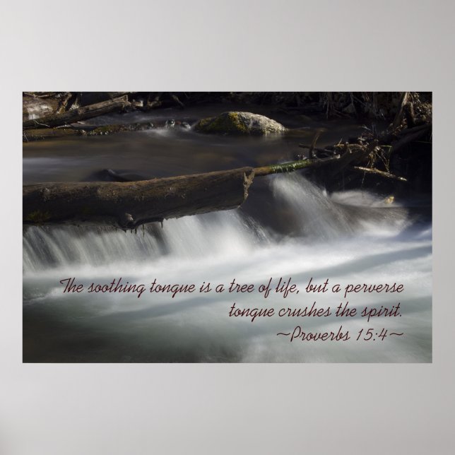 Proverbs 15:4 Poster (Framsidan)