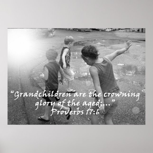 "Proverbs 17:6" av Carter L. Shepard Poster (Framsidan)