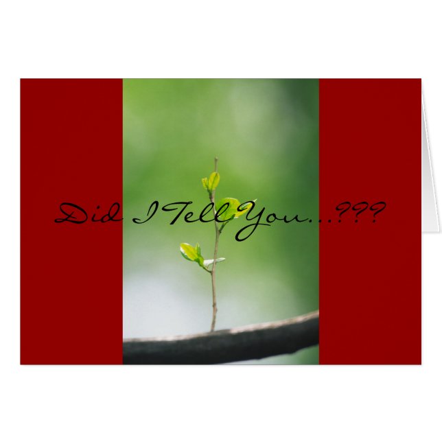 Proverbs 18:21 - Kärlek Hälsningskort (Framsidan Horizontal)