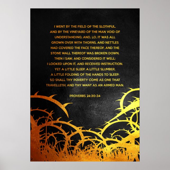 Proverbs 24:30-34 Bible Verse Poster (Framsidan)