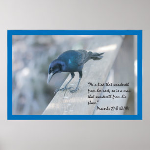 Proverbs 27:8 Poster skript