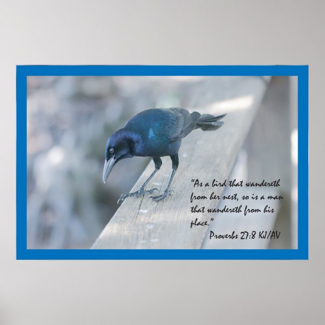 Proverbs 27:8 Poster skript (Framsidan)