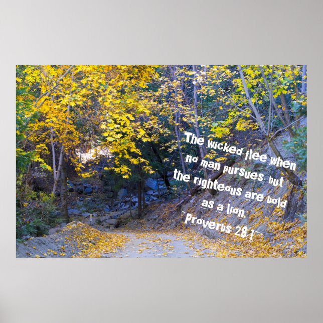 Proverbs 28:1 poster (Framsidan)