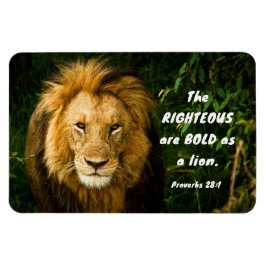 Proverbs 28:1 Righteous är djärv som Lejon bibel Magnet