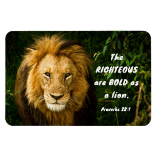 Proverbs 28:1 Righteous är djärv som Lejon bibel Magnet