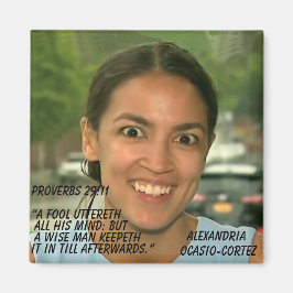 PROVERBS 29:11 MAGNET