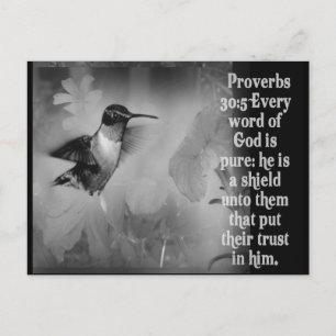 Proverbs 30:5 BIBLE SCRIPTURE with Hummingbird Vykort