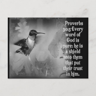 Proverbs 30:5 BIBLE SCRIPTURE with Hummingbird Vykort