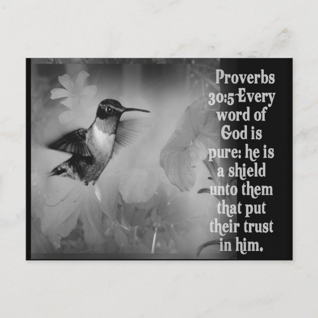 Proverbs 30:5 BIBLE SCRIPTURE with Hummingbird Vykort (Framsida)