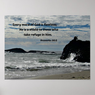 Proverbs 30:5 Varje ord om Gud är felfri... Poster