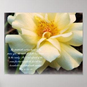 Proverbs 31 Collection ~ Pro 31:20-21 Poster