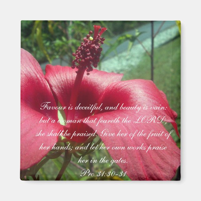 Proverbs 31 Collection ~ Pro 31:30-31 Magnet (Framsidan)
