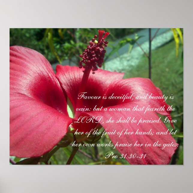 Proverbs 31 Collection ~ Pro 31: 30-31 Poster (Framsidan)