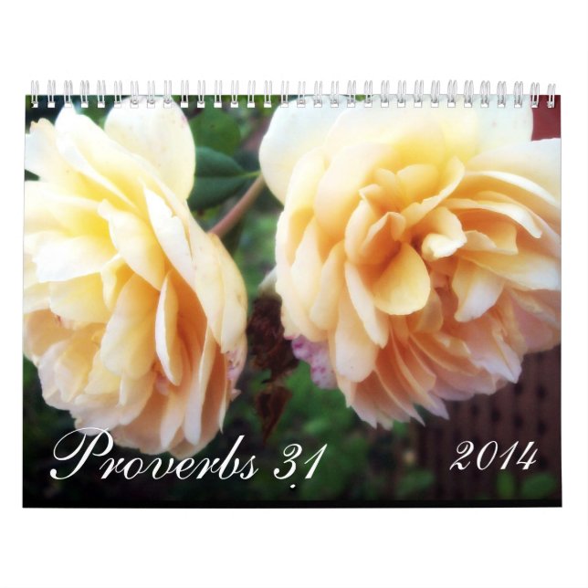 Proverbs 31 kalender (Omslag)