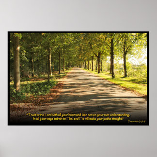Proverbs 3:5-6 Christian Bible Verse Poster