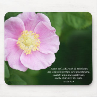 Proverbs 3:5-6 Christian Bible Verse Rosa Flower Musmatta